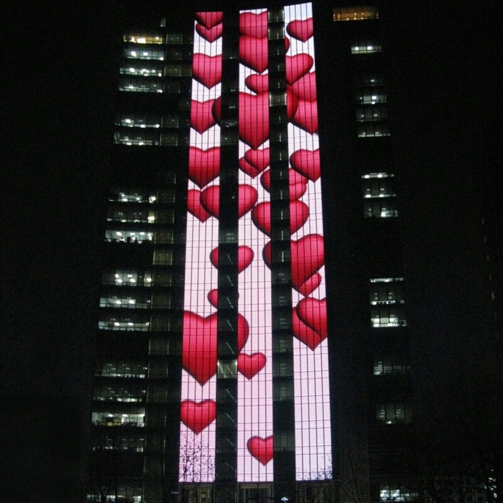 Meet your Posher, Liza